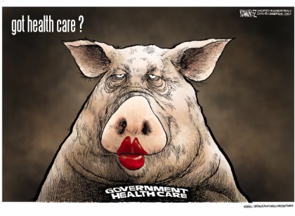 Government Health Care Pig