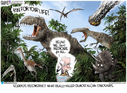 What Really Killed The Dinosaurs