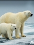 Climate: Meet the New Scare, Same as the Old Scare