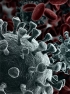 Federal Health Bureaucrats Unprepared for Coronavirus
