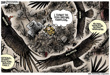 Dems Birds
