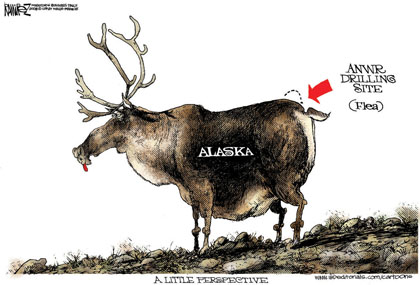 ANWR Drill