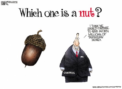 Which One is a Nut?