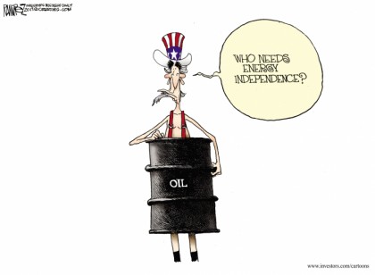 Who Needs Energy Independence?