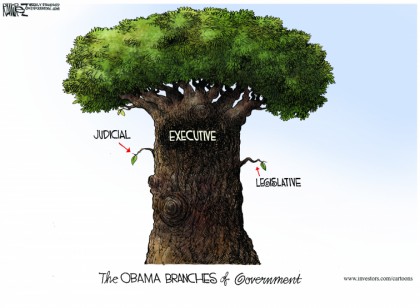 The Obama Branches Of Government