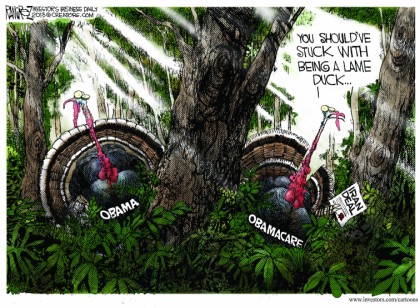 Lame Duck