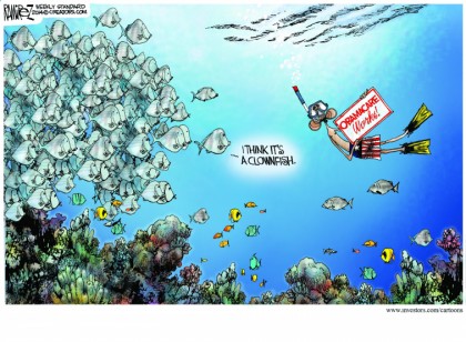 Obamacare Works?