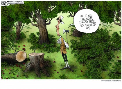 If You Like Your Cherry Tree...