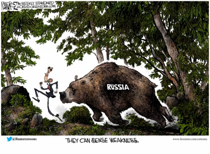 They Can Sense Weakness