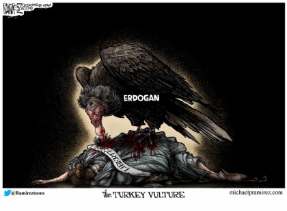 The Turkey Vulture