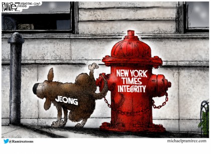 NY Times Integrity