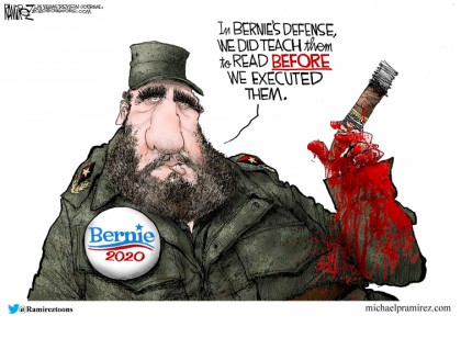 Bernie 2020