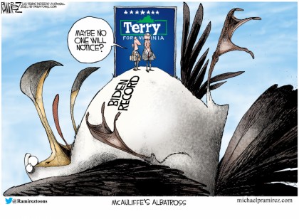 The Albatross