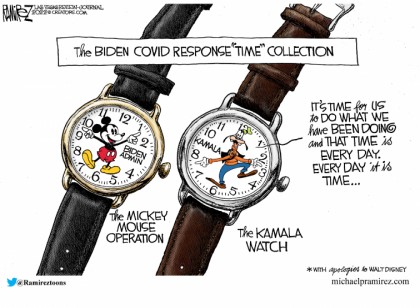 Biden Covid Response Time