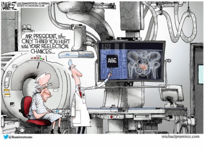Reelection Chances