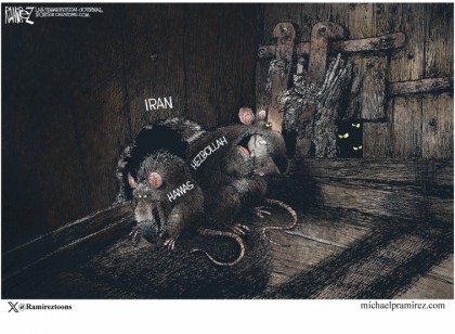 Rats
