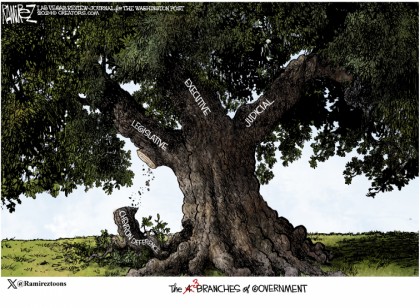 Branches Of Government