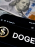 Why Democrats Hate DOGE and Love Waste