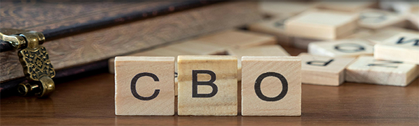 Why the CBO Almost Always Gets It Wrong